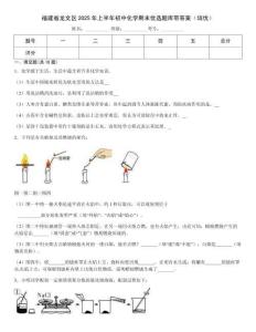 福建省龍文區2025年上半年初中化學期末優選題庫帶答案（培優）