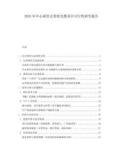 2025年中心束管式帶狀光纜項目可行性研究報告