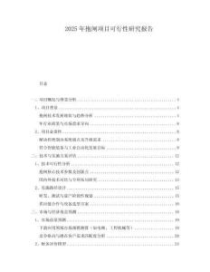 2025年抱閘項目可行性研究報告