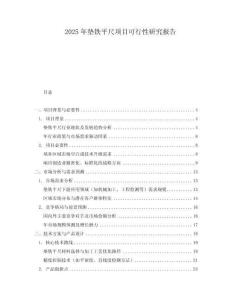 2025年墊鐵平尺項目可行性研究報告