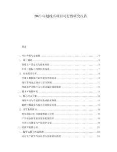 2025年劃線爪項目可行性研究報告