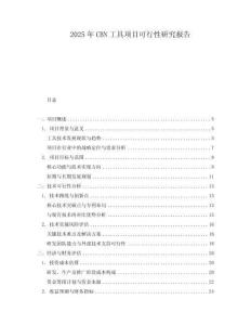 2025年CBN工具項目可行性研究報告
