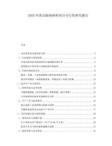 2025年消音隔熱材料項(xiàng)目可行性研究報(bào)告