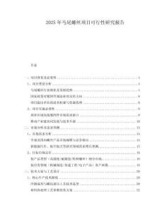 2025年馬尾螺絲項(xiàng)目可行性研究報(bào)告