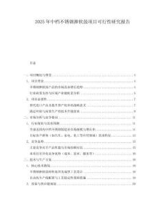 2025年中檔不銹鋼摔軟鼓項目可行性研究報告