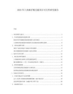 2025年八角柄牙根尖挺項目可行性研究報告