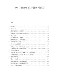 2025年橡膠伸縮器項目可行性研究報告