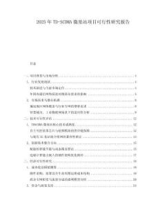 2025年TD-SCDMA微基站項目可行性研究報告
