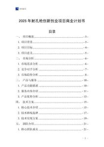 2025年射孔槍創新創業項目商業計劃書