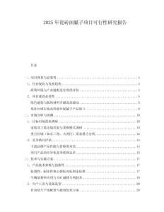2025年瓷磚面膩?zhàn)禹?xiàng)目可行性研究報(bào)告