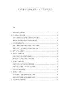 2025年技巧場地墊項目可行性研究報告