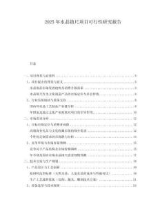 2025年水晶鎮(zhèn)尺項目可行性研究報告