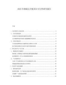 2025年抑菌太空枕項目可行性研究報告