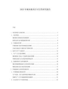 2025年桐木板項目可行性研究報告