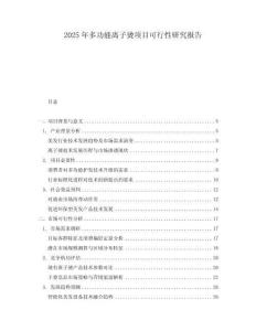 2025年多功能離子燙項目可行性研究報告