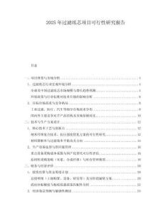 2025年過濾紙芯項目可行性研究報告