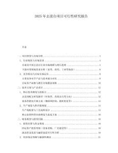 2025年去漬臺項目可行性研究報告