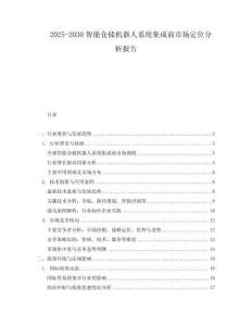 2025-2030智能倉儲(chǔ)機(jī)器人系統(tǒng)集成商市場(chǎng)定位分析報(bào)告