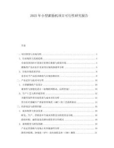 2025年小型灌腸機(jī)項(xiàng)目可行性研究報(bào)告