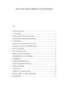 2025年襪子蒸汽定型機(jī)項(xiàng)目可行性研究報(bào)告