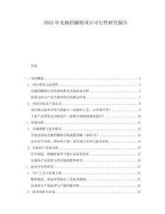 2025年光柄擋圈鉗項目可行性研究報告