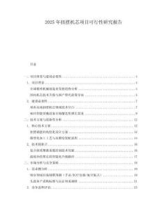 2025年扭擺機(jī)芯項(xiàng)目可行性研究報(bào)告