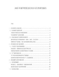 2025年豪華型熒光燈項(xiàng)目可行性研究報(bào)告