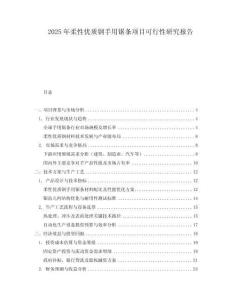2025年柔性優(yōu)質(zhì)鋼手用鋸條項(xiàng)目可行性研究報(bào)告