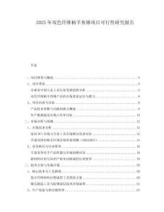 2025年雙色纖維柄羊角錘項目可行性研究報告