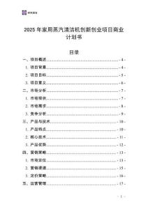 2025年家用蒸汽清潔機(jī)創(chuàng)新創(chuàng)業(yè)項(xiàng)目商業(yè)計(jì)劃書
