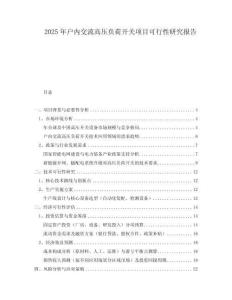 2025年戶內(nèi)交流高壓負荷開關項目可行性研究報告