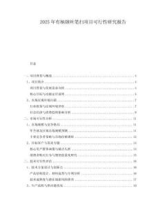 2025年有柄鋼絲筆掃項目可行性研究報告