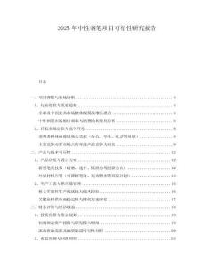 2025年中性鋼筆項目可行性研究報告