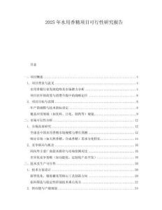 2025年水用香精項(xiàng)目可行性研究報(bào)告