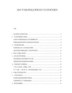 2025年雙缸鞋面定型機(jī)項(xiàng)目可行性研究報(bào)告