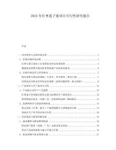 2025年紅棗蓮子羹項(xiàng)目可行性研究報(bào)告