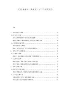 2025年螺絲打頭機項目可行性研究報告