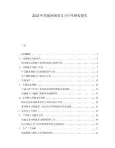 2025年抗硫閘閥項(xiàng)目可行性研究報(bào)告