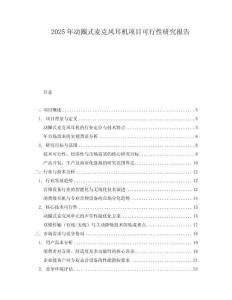 2025年动圈式麦克风耳机项目可行性研究报告