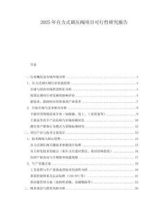 2025年自力式調(diào)壓閥項(xiàng)目可行性研究報(bào)告