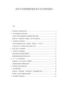 2025年導熱絕緣矽膠布項目可行性研究報告