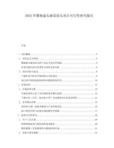 2025年錐柄扁頭麻花鉆頭項目可行性研究報告