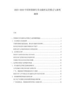 2025-2030中國智慧路燈多功能桿運(yùn)營模式與盈利測算
