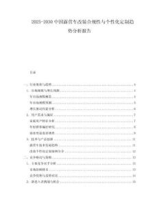 2025-2030中國露營車改裝合規性與個性化定制趨勢分析報告
