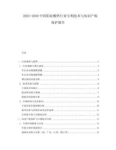 2025-2030中國鋁硅酸鈣行業(yè)專利技術(shù)與知識產(chǎn)權(quán)保護報告