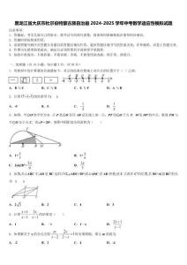 黑龍江省大慶市杜爾伯特蒙古族自治縣2024-2025學年中考數學適應性模擬試題含解析