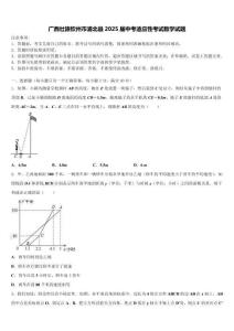 廣西壯族欽州市浦北縣2025屆中考適應(yīng)性考試數(shù)學(xué)試題含解析
