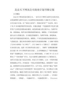 北京天下網訊公司商業計劃書修訂版