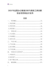 2025年遠(yuǎn)程辦公數(shù)據(jù)分析與報告工具創(chuàng)新創(chuàng)業(yè)項目商業(yè)計劃書