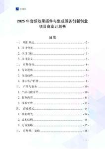 2025年音頻效果插件與集成服務創(chuàng)新創(chuàng)業(yè)項目商業(yè)計劃書
